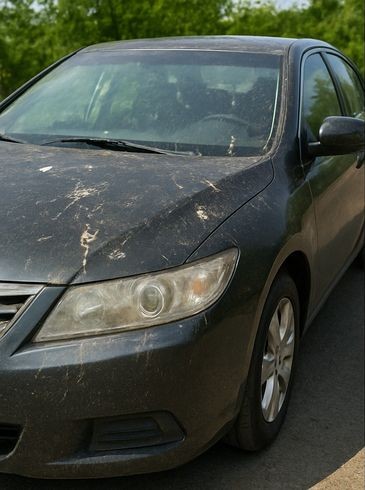 Dirty Car Before detailing